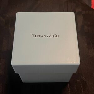 Tiffany & Co. RARE Fine Bone China Trinket Box in Iconic Blue